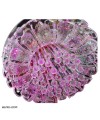 عکس لوستر سقفی کریستالی صورتی Crystal ceiling chandelier 80CM تصویر