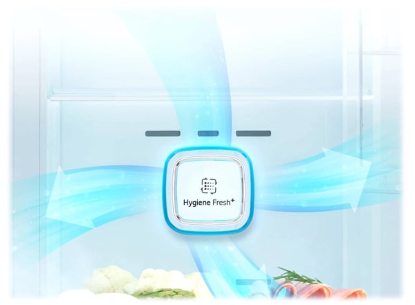 فیلتر بهداشتی هوا هایژن فرش Hygiene FRESH+™ یخچال الجی X257 اینستاویو 30فوت