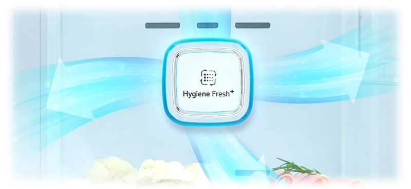 فضای بهداشتی یخچال ال جی GC-F689BLCM با فیلتر Hygiene Fresh